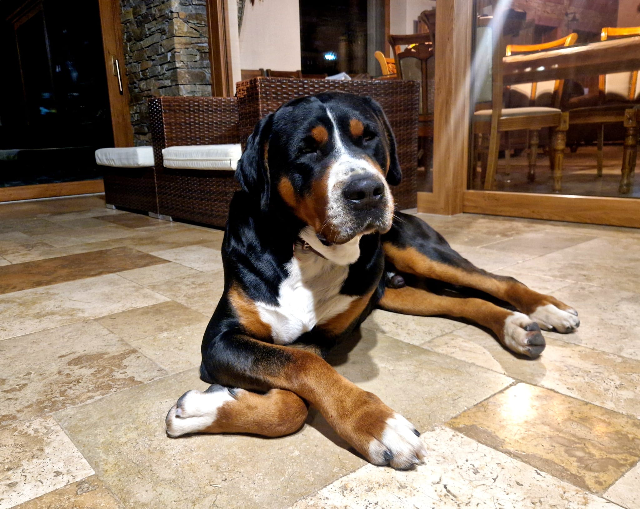 Martini
