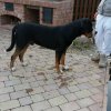 attila_estremadura13