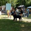 attila_estremadura7