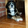 yasco_from_balihara_ranch2