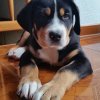 yasco_from_balihara_ranch3