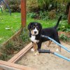 yasco_from_balihara_ranch4