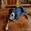 yasco_from_balihara_ranch5