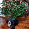 yasco_from_balihara_ranch7