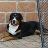 yasco_from_balihara_ranch8