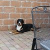 yasco_from_balihara_ranch9