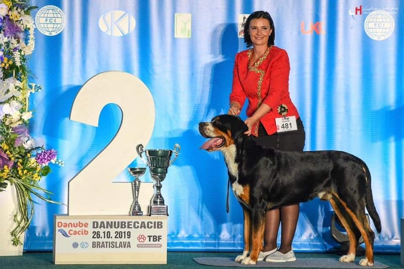 cassius clay our champions bratislava2019