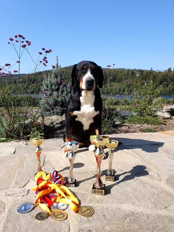 dam bloody mary our champions nitra