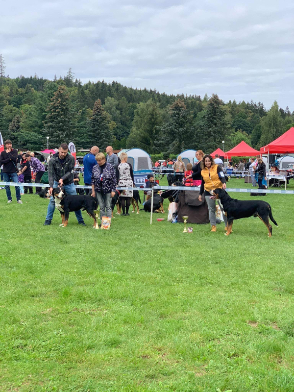 Cassius Clay jedovnice