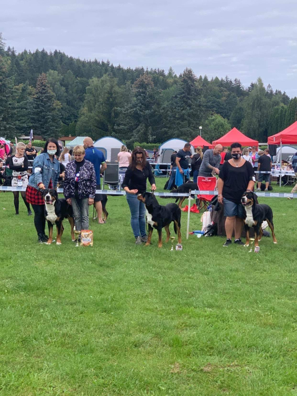 Enox Gregory a Fox Our Champions jedovnice